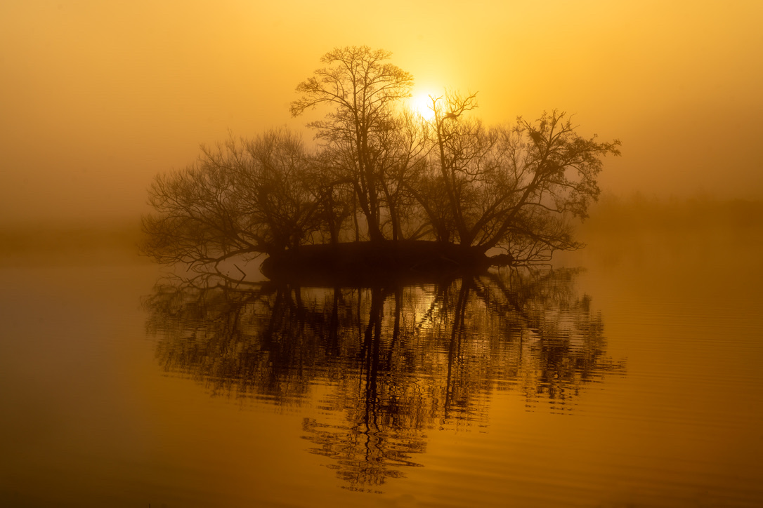 Isn't this weather absolutely appalling? I hope you are all safely cooried down in front of the fire drinking tea and watching Netflix. Anyway, I digress. Here's a shot of the very beautiful Pen Ponds in Richmond Park at sunrise on a better day to help brighten up proceedings. 🤩