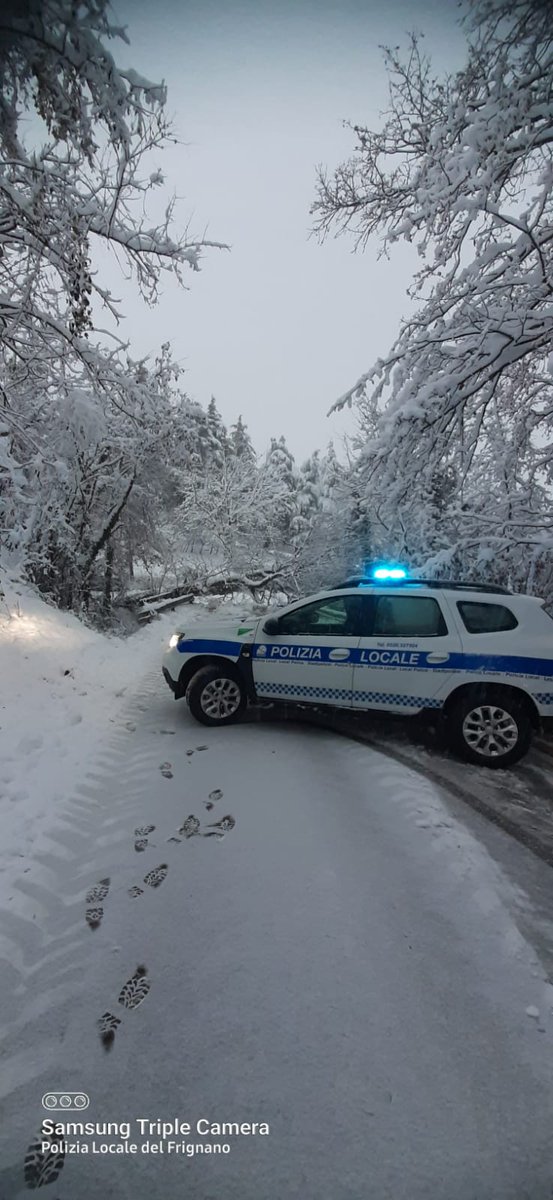 PLdelFrignano's tweet photo. #PLinforma #accadeora #Pavullo #viabilità a causa della caduta di un albero sulla sede stradale, #ViaMulinoVivi #SP36, al km 5 circa, è chiusa al transito veicolare e pedonale. È stato allertato il personale della Provincia che interverrà sul posto per ripristino viabilità. https://t.co/tKm4JfTYcB