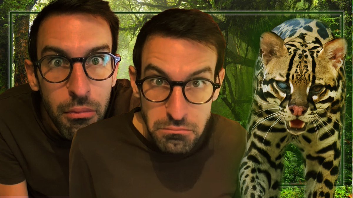 Ooooh j'en ai ENFIN vu UN !

(C'est un peu historique quand même.)

Tout est raconté et montré
ici : youtube.com/watch?v=rl366k…

Cuicui📷
#maxbirdsafari #photographieanimaliere #wildphotography #ocelot #jaguar