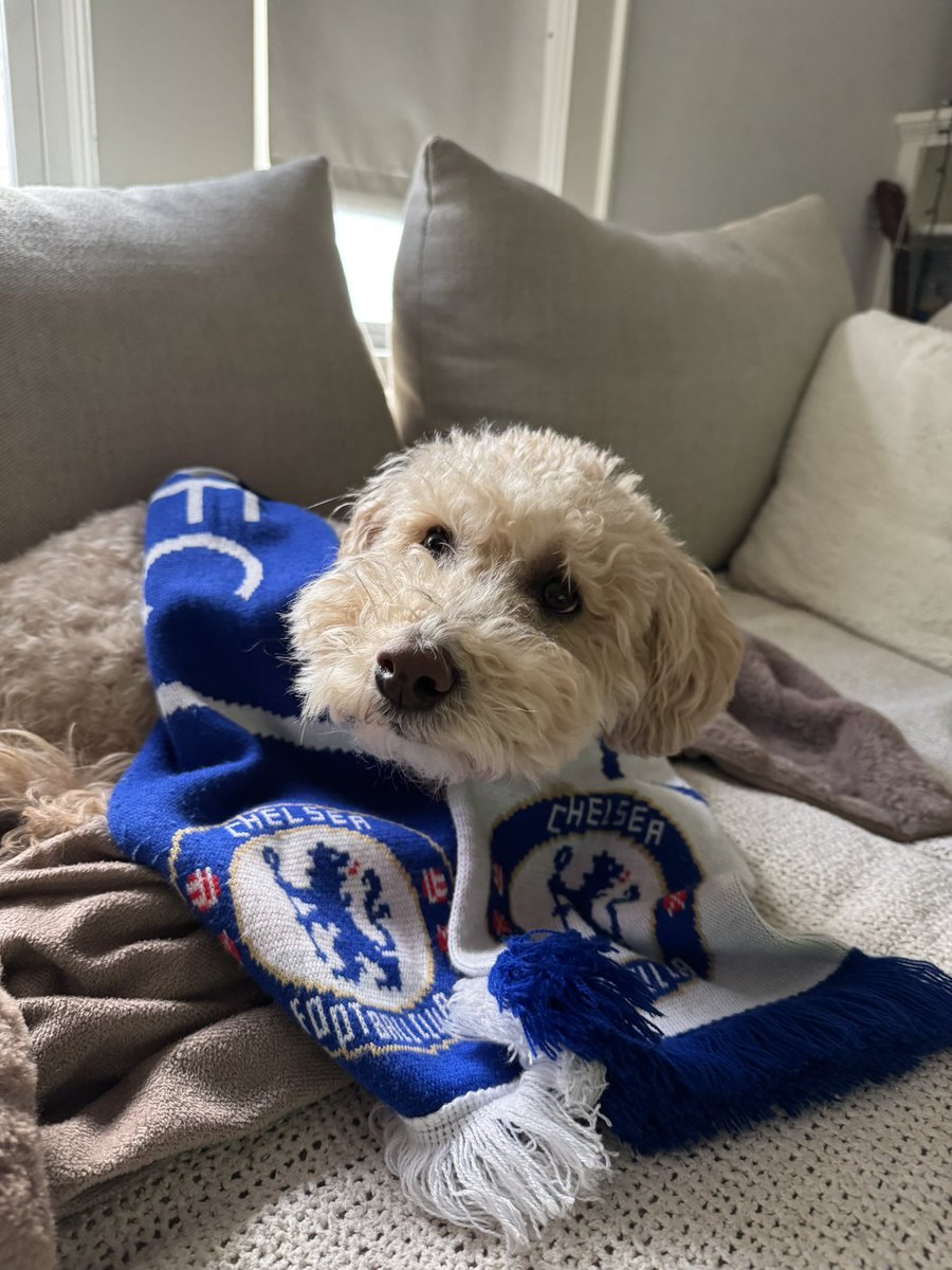 ScramMontana's tweet photo. COYB 💙 #CHETOT #MyPLMorning https://t.co/uIxcJ9FweW
