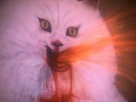 Evil Gremlin tweet media