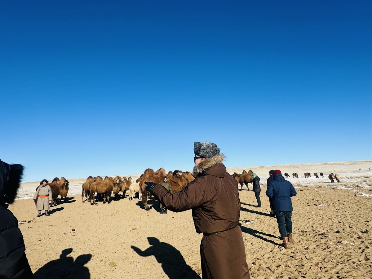Яагаад мал тоолдог вэ? Мал тоолох, тоолуулах юунд хэрэгтэй вэ? Малчид яагаад малаа тоолуулах дуртай байдаг вэ? зэрэг асуултууд хотынхноос ирж байна.
1. Үндсэн хуульд мал сүрэг бол үндэсний баялаг бөгөөд төрийн хамгаалалтад байна гэж заасан байдаг тул бид жил бүр малаа тоолдог.