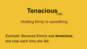 jolly_jackoVF's tweet photo. Character Trait of the Day!
Tenacious: Holding Firmly to Something.
Describe a time in your life that you had to be Tenacious. What did that mean to you? What challenges did you have to face? How did you feel at the end? Comment ๐in ๐งต..
#StayTenacious #NeverGiveUp #RelentlessSpirit #KeepPushing #TenacityWins #WarriorMindset #Unstoppable #RiseAndConquer #DeterminedToSucceed #PersistencePaysOff #veefriendschangemymind #veefriendscards #veefriendsfamily #jollyjacko #StayJolly #garyvee #staypositive #spreadlove #VF #kindnessmatters
@garyvee @veefriends @VeeFriendsCards
