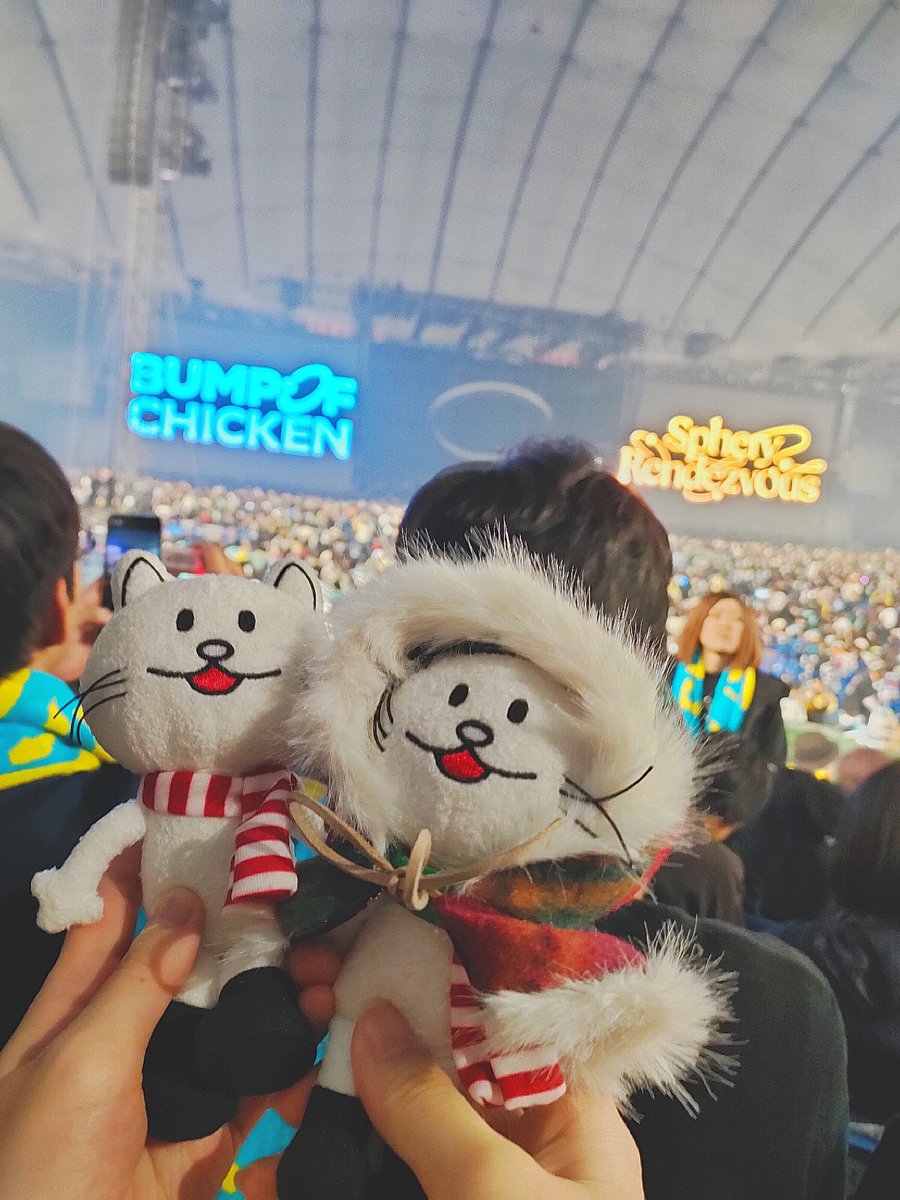 参戦計10公演、BUMPと共に全国のドームをまわって来ました。
最高の音楽をありがとう全部届いたよ。出会えてよかったBUMP OF CHICKENありがとう
 #SpheryRendezvous