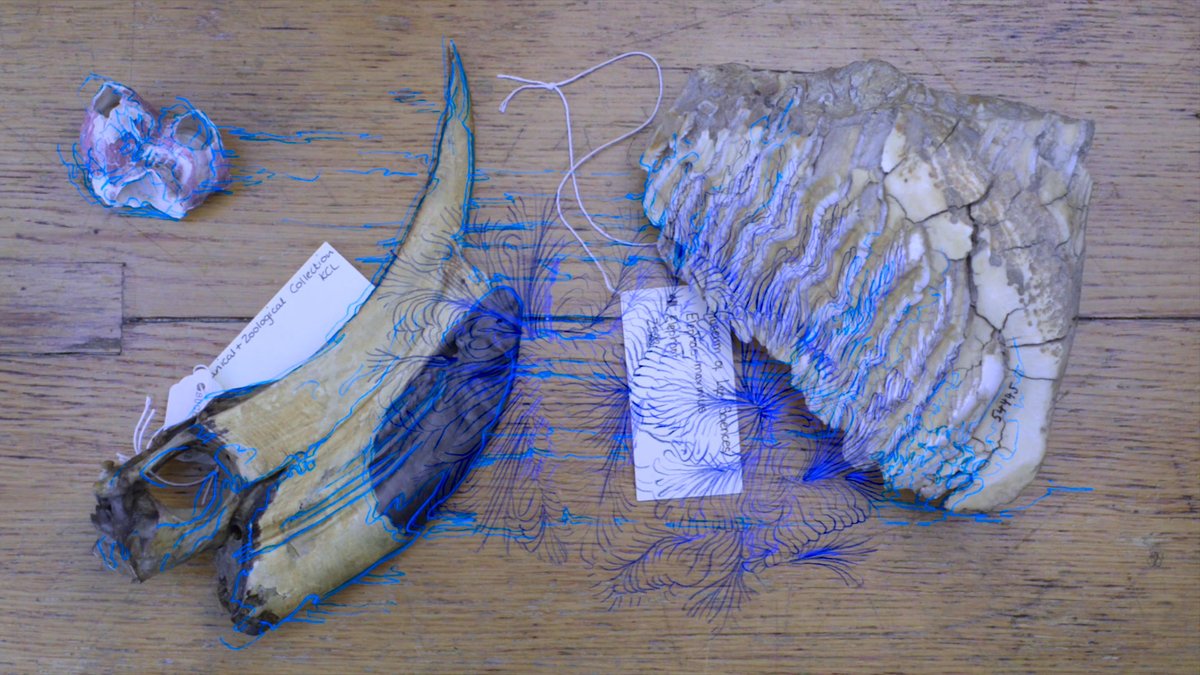 labocine's tweet photo. Drawing with Film": our latest Spotlight on multi-disciplinary artist Daksha Patel ( @daksha9art).
Read/Watch Spotlight at: https://t.co/0ijjA6TTx7
#Science #artists #labocine #sciencenewwave https://t.co/7CwFIHA1hF