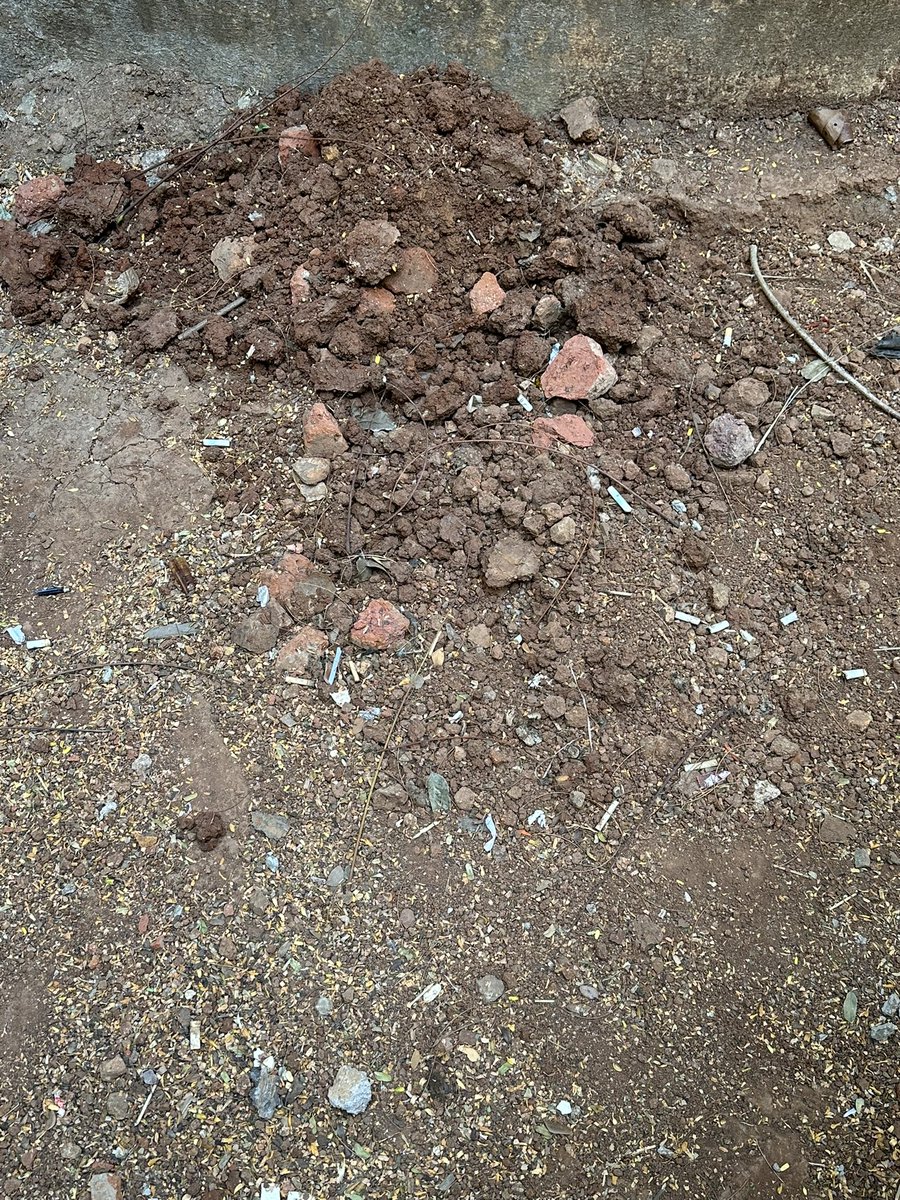 kumshah's tweet photo. Tnx for the prompt action. Swings working now. @mybmcWardFN 🙏. However now slide is broken as well. Also, cigarette butts n other nuisance in the garden prevails. https://t.co/RniXJhCe6P