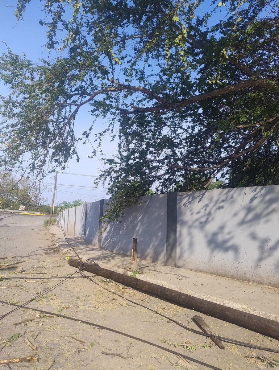 rodru_20's tweet photo. @TELMEXSoluciona  @Telmex Comunidad loma de Fátima en Colima camión cañero daño 3 postes y cableado no tenemos servicio de Telmex.   Reporte 63327468 https://t.co/fVxkLkL35p