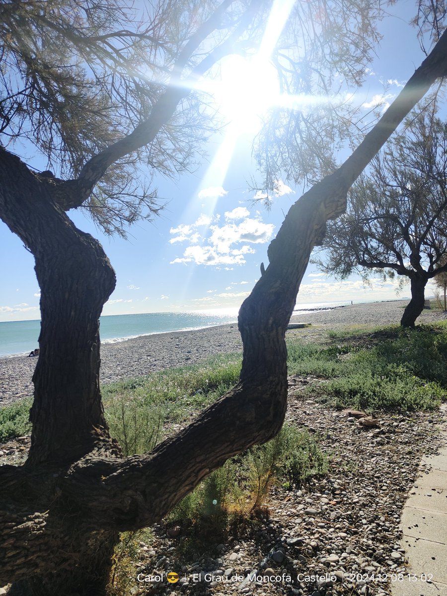 Carolvilartw's tweet photo. Yo tengo esto, y tú qué tienes?
#Moncofar
#Moncofa
#Mediterráneo
#Solazo
#Invierno https://t.co/cWtkqOEshN