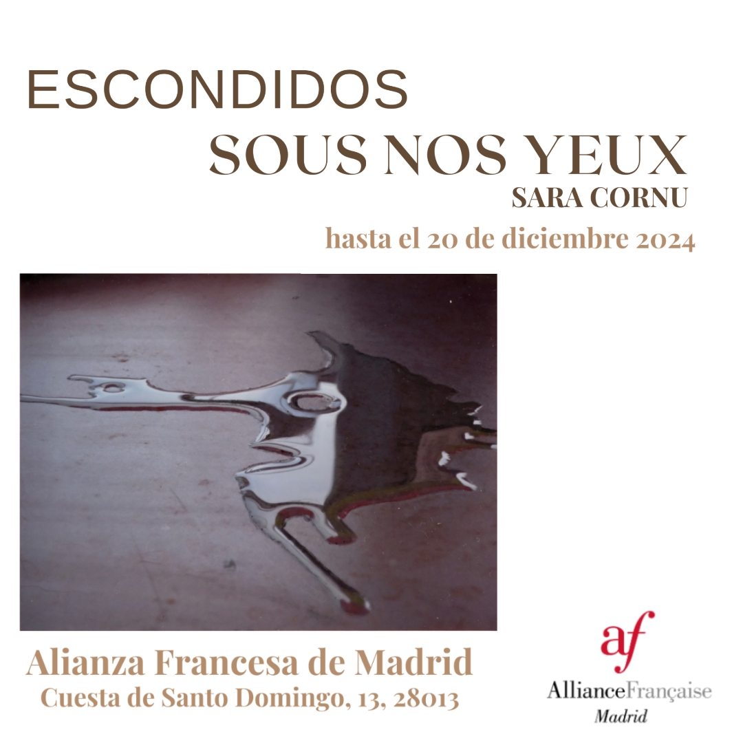AllianceMadrid's tweet photo. No quedan muchos días para que puedas seguir disfrutando dea exposición de Sara Cornu. ✨

Si todavía no la has visto, o si quieres volver a verla, date prisa porque se acaba.

📍Mediateca de la Alianza Francesa
📅Hasta el 20 de diciembre

#arteyfotografía #alianzafrancesa https://t.co/EOvpsO0RIC