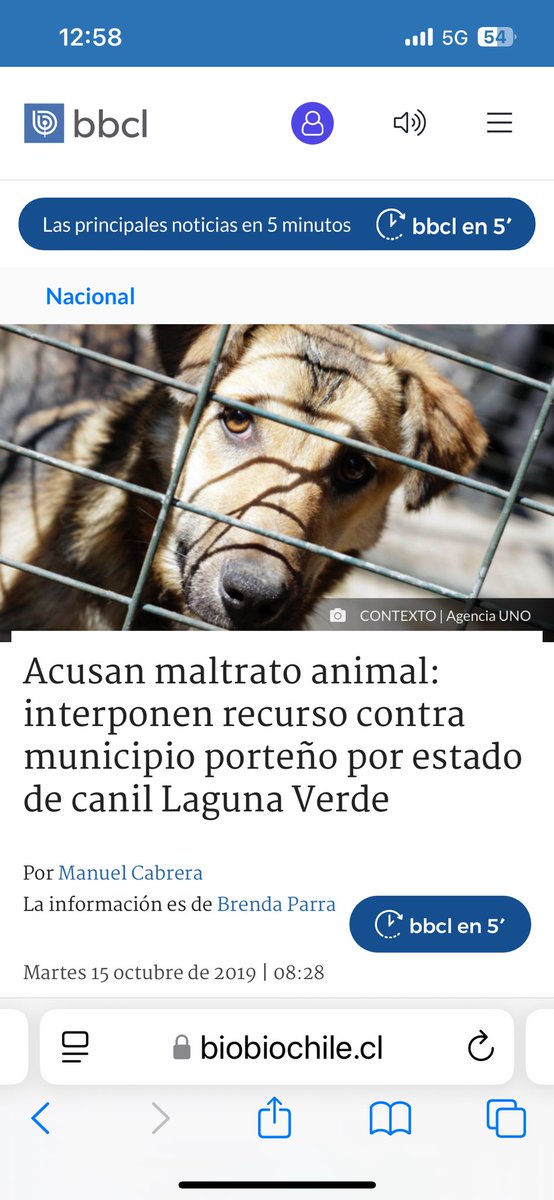 no_tan_obvia's tweet photo. los refugios de animales al menos aquí en Chile, no son la solución. Menos gestionados con recursos municipales. Hay que intervenir la sobrepoblación de animales abandonados, gestionando planes de esterilización masivas PERMANENTES https://t.co/9tFWo0CHuQ