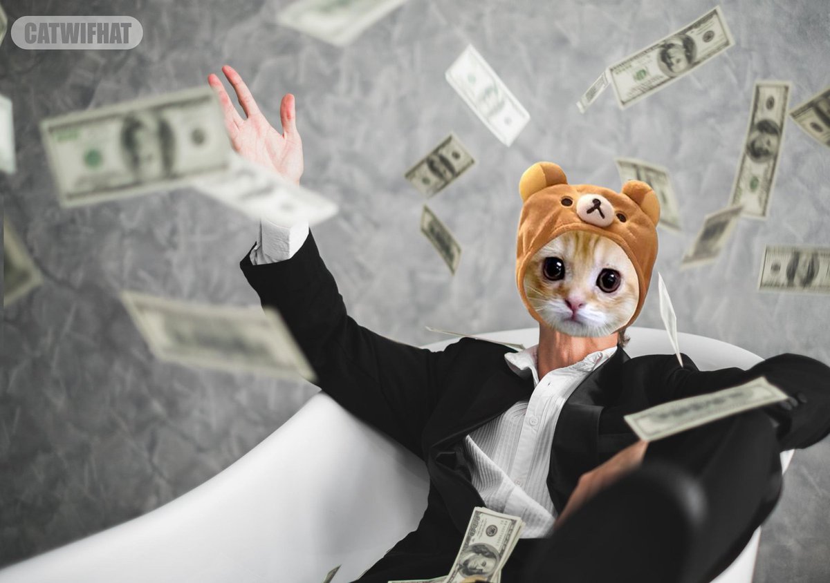 Kaizen2314's tweet photo. @Fityeth I hear that CIF is cooking for something? 😼🧢 @OGcatwifcoin https://t.co/bAo7oM30fd