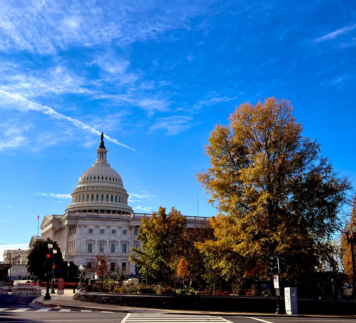 For those coming to #AGU2024, DC welcomes you with nice winter sunshine (expiring tonight lol