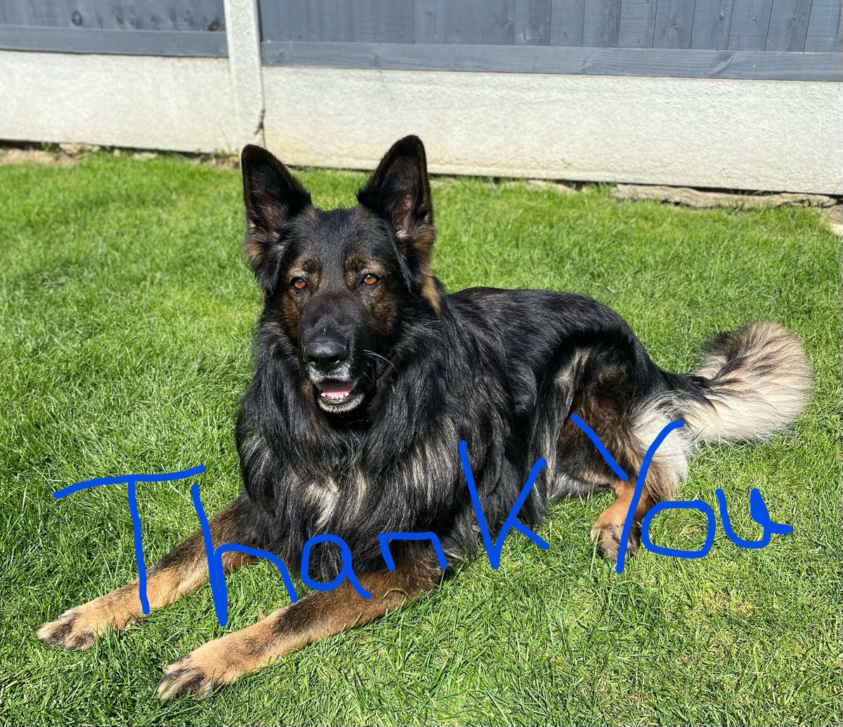 ERPDF's tweet photo. Did You Know...
We are a Charity &amp; offer financial/emotional
support along with advice based on 12yrs 
experience -  all free of charge.
Our Board of Trustees work diligently to
fundraise &amp; award monies to RPDs.
Relieved that not one RPD has been failed.
Thank You for yr support. https://t.co/dIXiSnWszJ