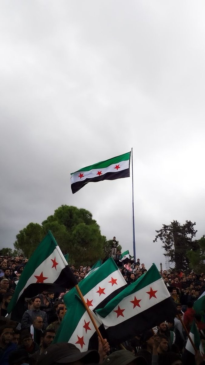 太阳终于在叙利亚的天空升起，
结束了十四年的罪恶统治。  
#Syria #سوريا_حرة