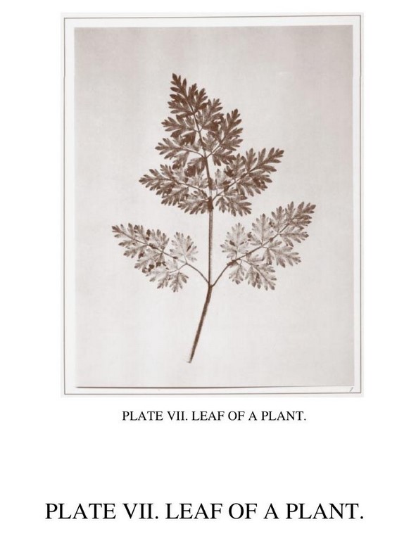 RealPreCinema's tweet photo. 1844
THE PENCIL OF NATURE
WILLIAM HENRY FOX TALBOT (1800-1877)
The first commercially published illustrated book. The #Calotype / #Talbotype photographic process published by Longman, Brown, Green and Longmans in six fascicles, London, 1844.
READ it here. https://t.co/Uv2z0oytbM https://t.co/2w2Bt0kQXG