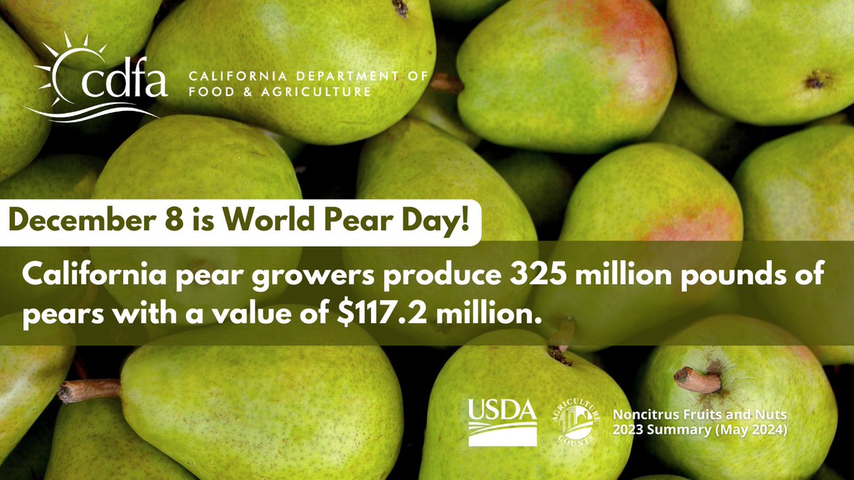 CDFAnews's tweet photo. 🍐 It's World Pear Day! 🍐
December 8 is World Pear Day!
California produces 325 million pounds of pears annually, valued at $117.2 million! Our top pear-growing counties include Sacramento, Lake, and Mendocino.
#pears #pear #CalAg #agriculture #WorldPearDay https://t.co/x6pyoimsZw