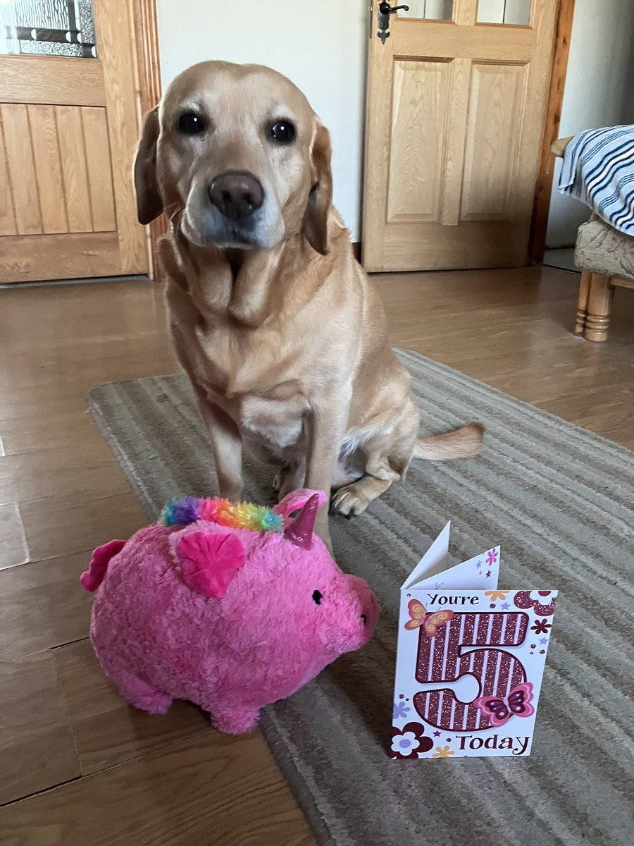 RetroRalphIE's tweet photo. My boy is 5 today! Happy birthday Ben! ❤️ https://t.co/DEb2m8zVuL