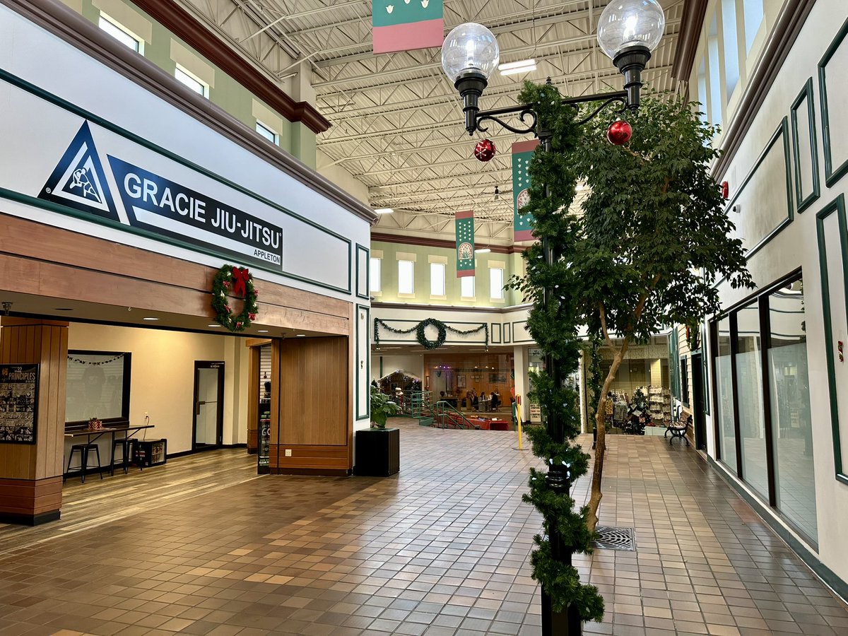 Gracie Appleton tweet media