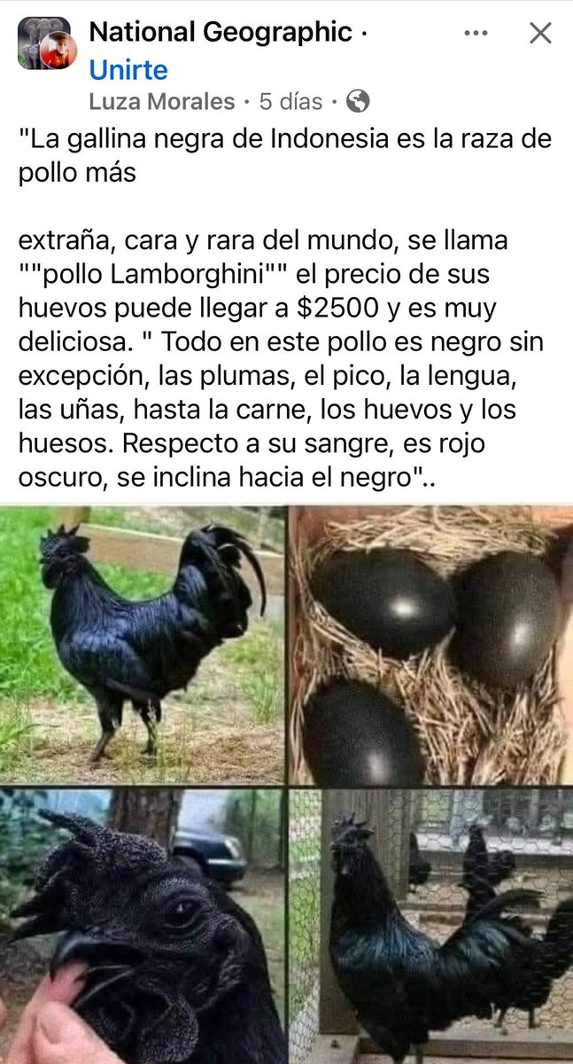 Jorge E. Seijo (@jeseijo) on Twitter photo 