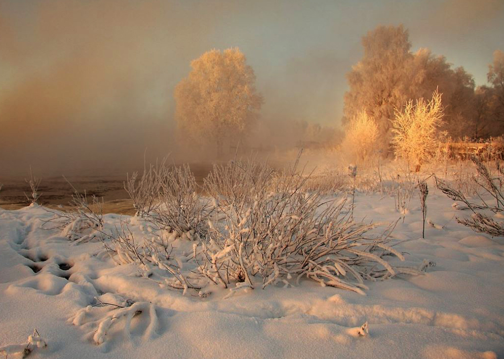 madrugada_m's tweet photo. Schnee, zärtliches Grüßen der Engel...

Gibt es noch Böses,
wo Schnee liegt?
Verhüllt, verfernt er nicht
alles zu Nahe und Harte
mit seiner beschwichtigenden
Weichheit, und dämpft selbst
die Schritte des Lautesten
in Leise?

- Francisca Stoecklin - https://t.co/V3wHVjnBHa