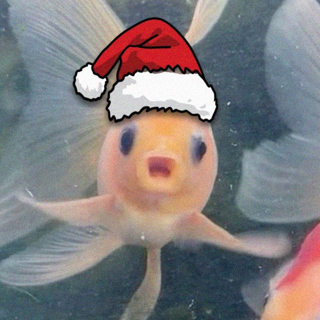 Fish Council tweet media