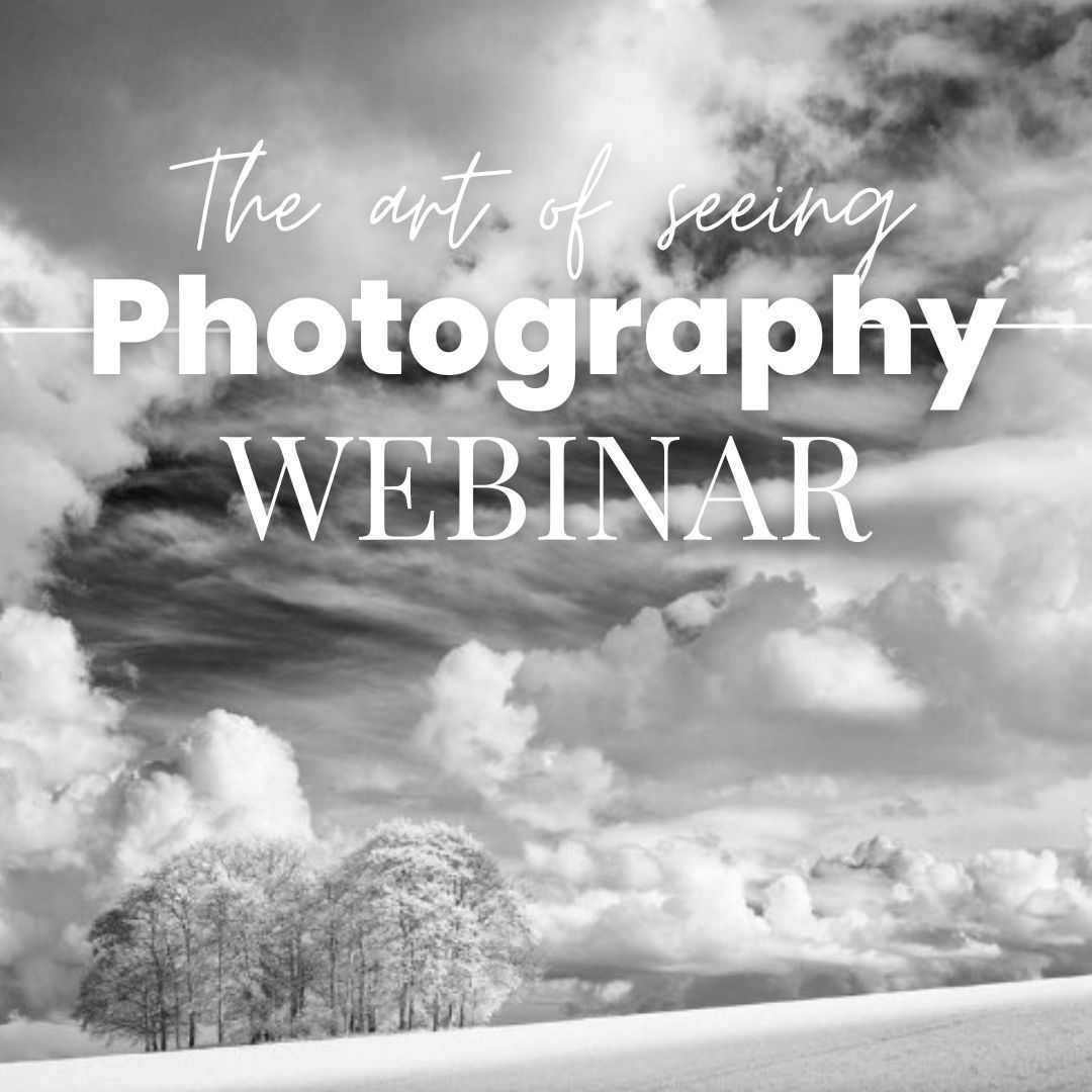 nikonownermag's tweet photo. #NikonOwner Webinar with Simon Stafford: The Secrets To Success - The Art Of Seeing. Master the techniques for successful photographic composition. Thursday, 12th Dec 7:00 pm GMT. Very limited spaces so DM us early if you'd like to attend
#nikonpro #photography #photoclass https://t.co/8sI7RBGuyp