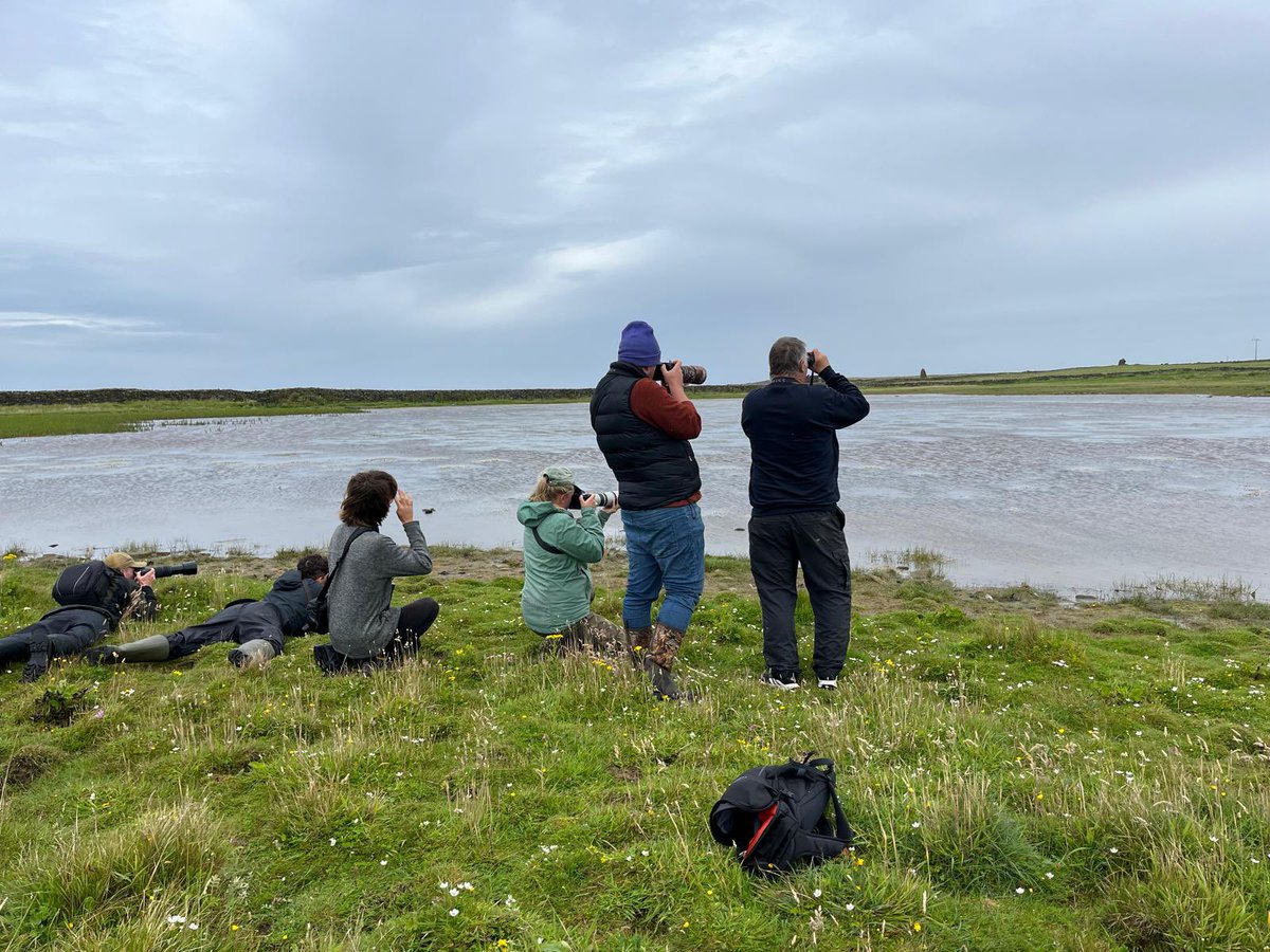 North Ronaldsay Bird Observatory tweet media