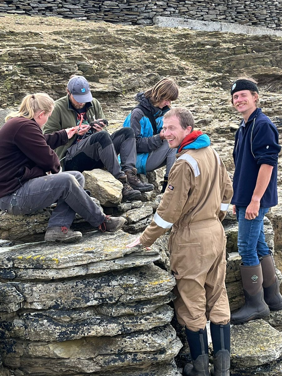 North Ronaldsay Bird Observatory (@nronbirdobs) on Twitter photo 🚨VOLUNTEERING OPPORTUNITY🚨
We are looking for a volunteer for the 2025 season to help with bird monitoring, ringing, and obs maintenance! Full board included. Long term volunteers preferred, but all applications welcome! Contact alison@nrbo.co.uk for more info
Please share! 🚨VOLUNTEERING OPPORTUNITY🚨
We are looking for a volunteer for the 2025 season to help with bird monitoring, ringing, and obs maintenance! Full board included. Long term volunteers preferred, but all applications welcome! Contact alison@nrbo.co.uk for more info
Please share!