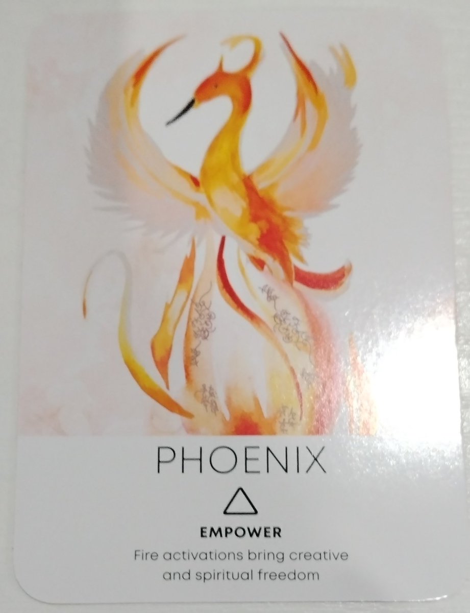 didsastrotarot's tweet image. #oracleoftheday ❣️