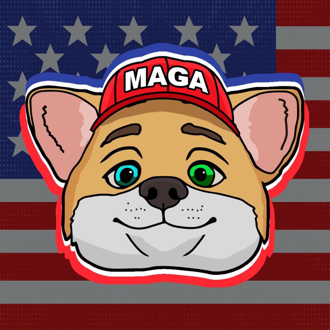 MAGY tweet media