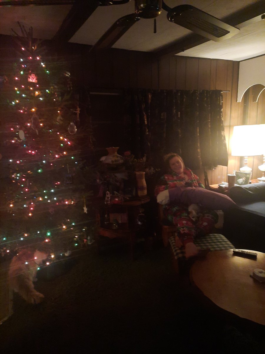 FivePillarFarms's tweet photo. First Christmas tree on the new farm. #Christmas #ChristmasTree #yooper #yooperlife #woods https://t.co/bxTzDov0FB