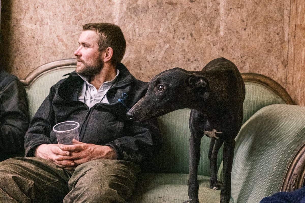 lurcherwork's tweet photo. #gameshooting #beating #workingdog #gamekeeper #whippet #spaniel #labrador #gundog #birddog #tweetthebeat #fujifilm https://t.co/Gawcczepl2