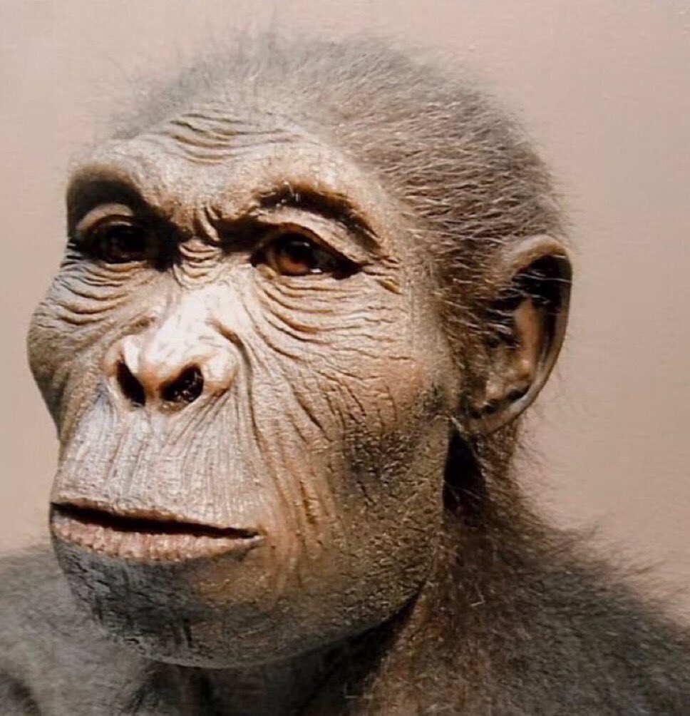 1-0 Tottenham après une glissade de Cucurella.