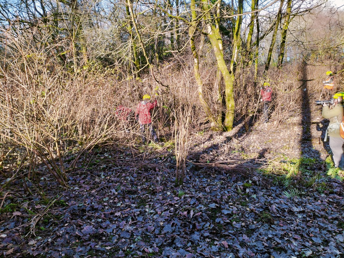 TrossachsSAR's tweet image. Thank you to staff of Erskine hospital for allowing us to train there today. Team training using usar dogs, open areas and building searches, weather was kind as well.@ArnoldClark @PSOSForthValley @fire_scot #searchdogs
#volunteers