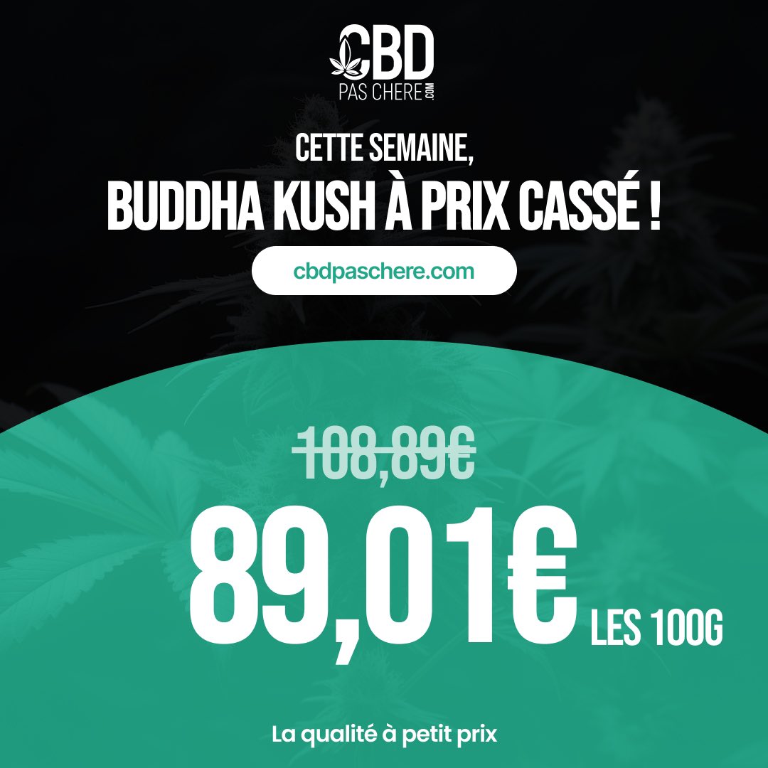 cbdpaschere's tweet photo. 🌿 PROMO DE LA SEMAINE : BUDDHA KUSH 🌿
Découvrez notre Buddha Kush, en promo cette semaine seulement sur https://t.co/lgbxrkOOsq ! 💥
#CbdPasChere #Relaxation #BienEtre https://t.co/o3togEsvnC