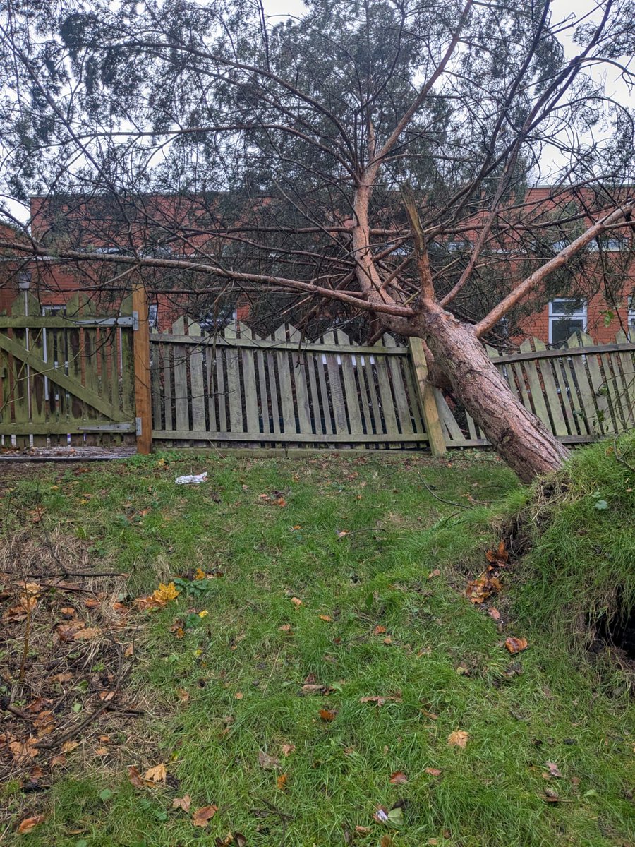 Foxyards Primary tweet media