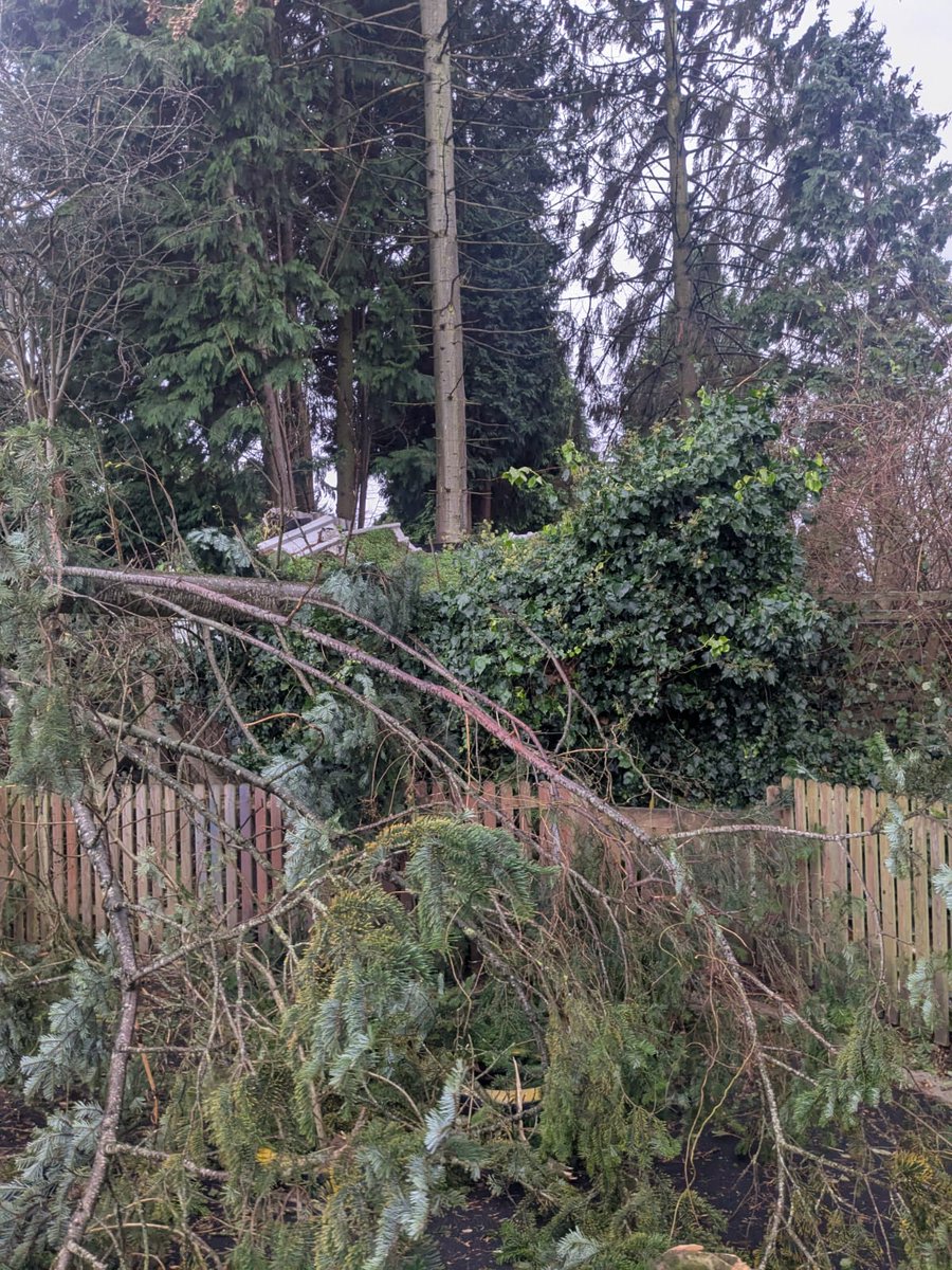 Foxyards Primary tweet media