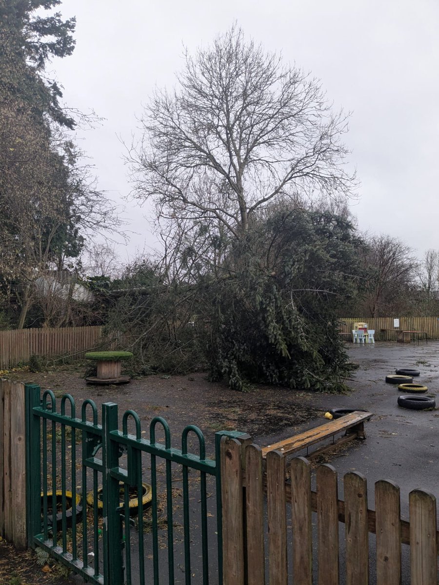 Foxyards Primary tweet media