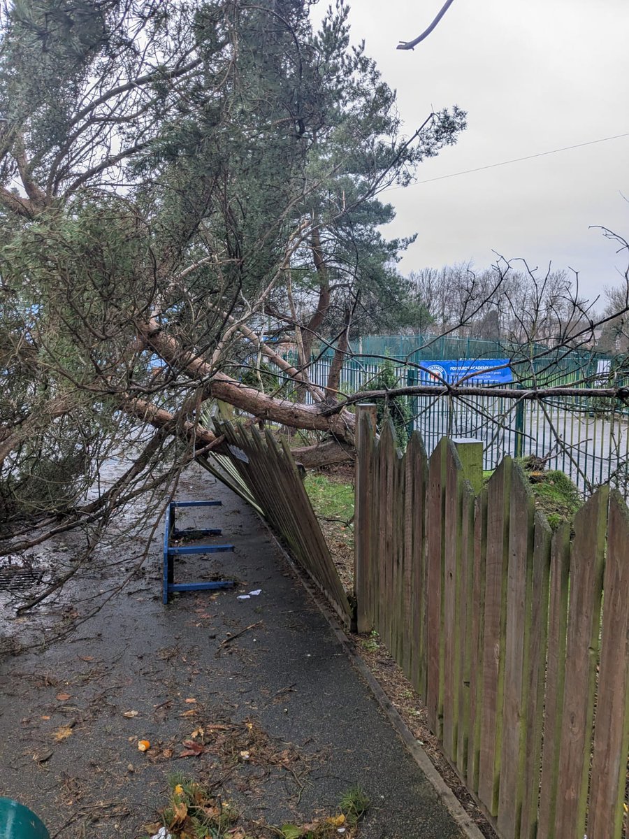 Foxyards Primary tweet media