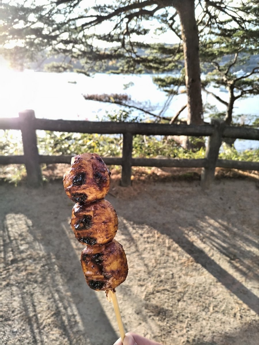 akacolor's tweet photo. 土曜日は娘と松島へお出かけ！

初めて福浦橋を渡ったり、円通院を拝観してから御朱印を頂いたりと、暗くなるまで色々と��き回り、目的だった松島離宮のイルミネーションを見て楽しんできた✨️

#松島 #福浦島 #円通院
#松島離宮 #イルミネーション https://t.co/e9vYdm8C2X