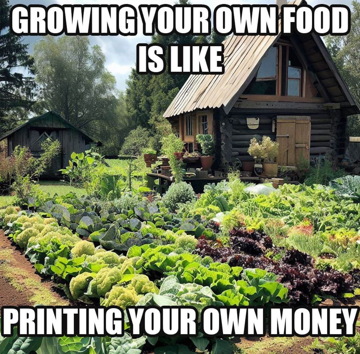 ecofriendlyfact's tweet photo. Growing your own food equals more savings.
.
.
.
.
Read more : https://t.co/L1ESfhP2qd
#ecovillage #ecolifestyle #ecoblogger #ecotips #zerowastetips #zerowasteshopping #zerowastekitchen #zerowastejourney https://t.co/S9NfMysqal