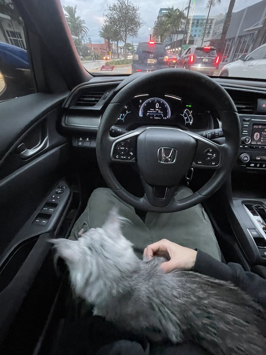 frankortegaaa's tweet photo. what da dog doing https://t.co/u5H8kwklMU