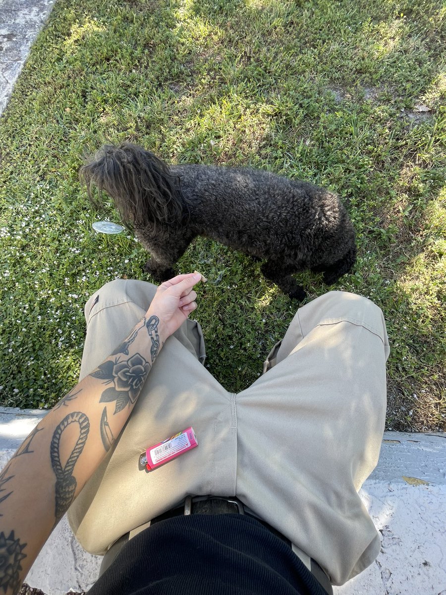 frankortegaaa's tweet photo. what da dog doing https://t.co/u5H8kwklMU