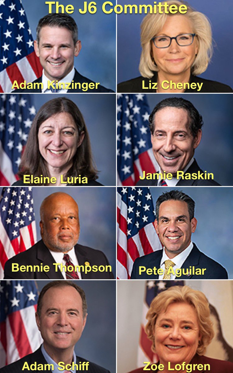 DEMOCRATS: If you need a preemptive PARDON….YOU ARE GUILTY!!! The J6 Committee is gonna pay for the TREASON committed. #JusticeForJ6