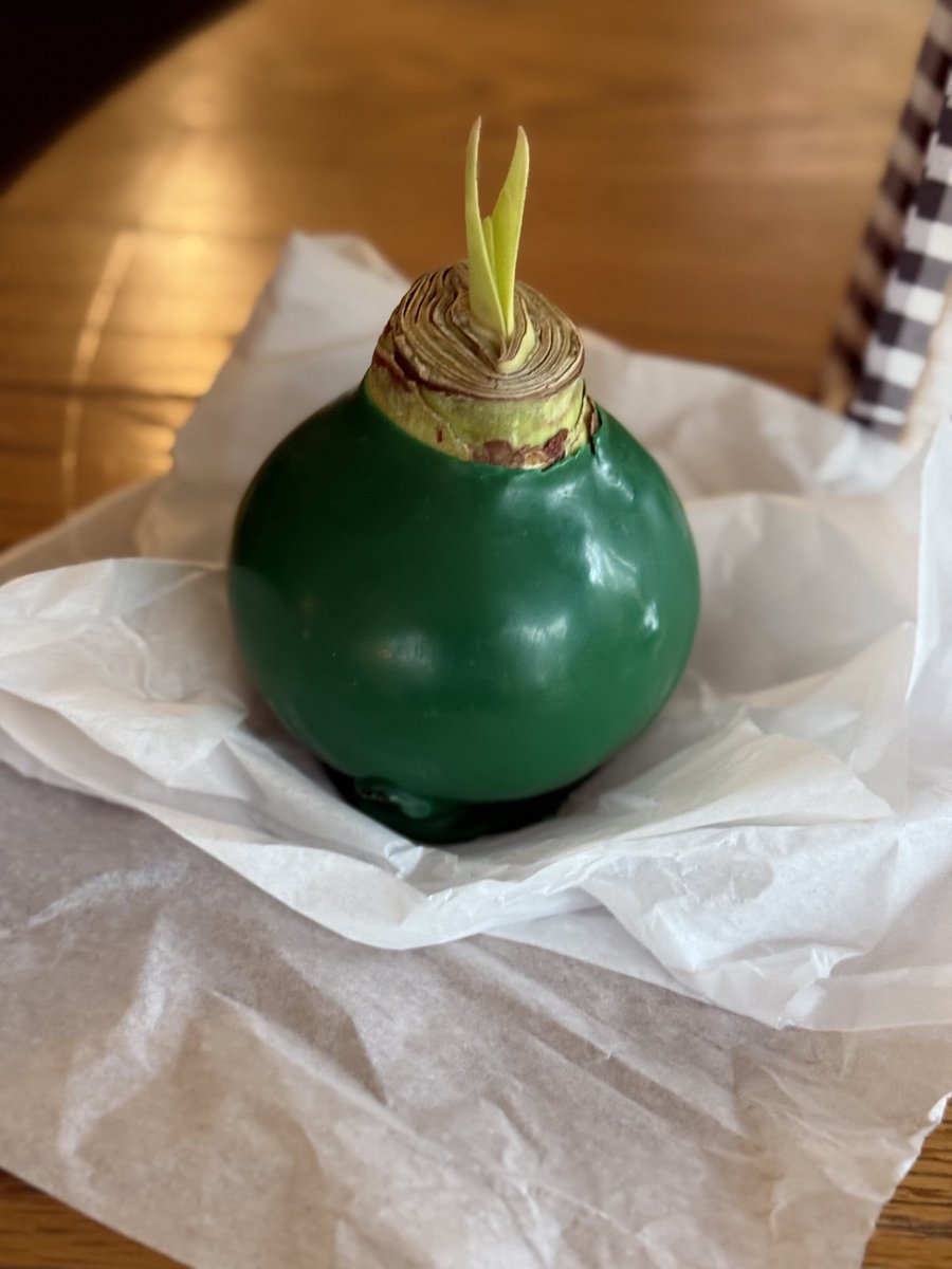 dirkmem's tweet photo. Just received this. Anyone know what it is? https://t.co/ABvSqRuzgY