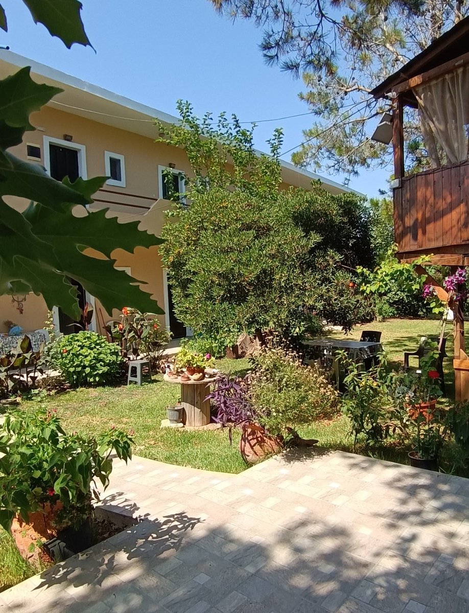 gongisstudios's tweet photo. Where memories linger and new ones await…

~ ~ ~
#gongisstudios #corfu #corfuisland #corfugreece #greece #ionianislands #agiosgeorgios  #vacations https://t.co/9nUxocJRiI