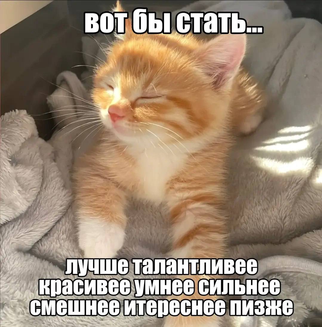 🐸жабья принцесса👑 (@kxiq7u7oc8nsgnc) on Twitter photo 