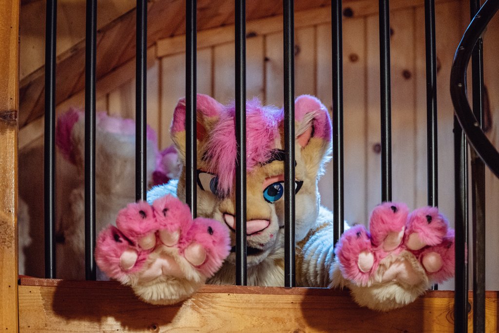 Help! They put me in gay baby jail :(