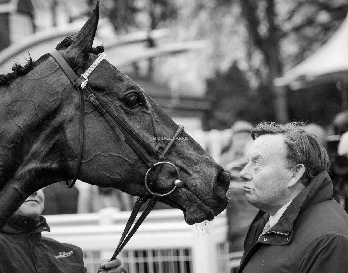 Michael Harris tweet media