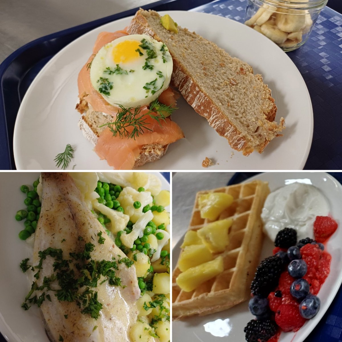 PedroCoenen's tweet photo. Wat krijgen ze zoal te eten? Een kleine selectie van afgelopen week...
#gerooktezalm #rendang #ei #pasta #kwark #wafel
#FortunaSittard https://t.co/tHGpTFMVd2